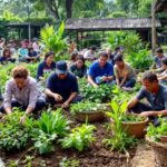 Komunitas Koto Gunung beraktivitas di ladang pertanian.